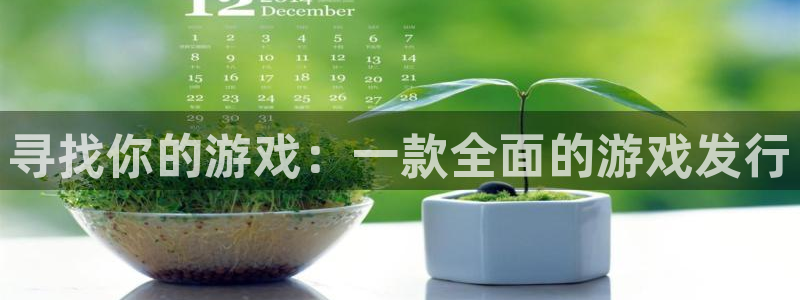 pp电子官网挂机项目怎么样