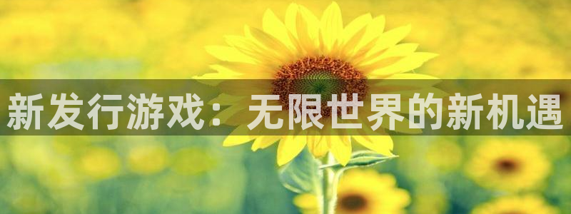 pp电子lvnces官网：新发行游戏：无限世界的新机遇