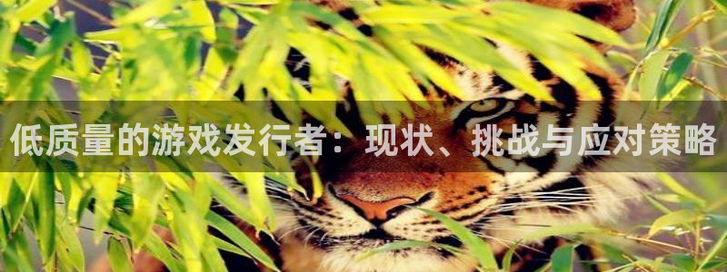 pp电子集团是什么企业