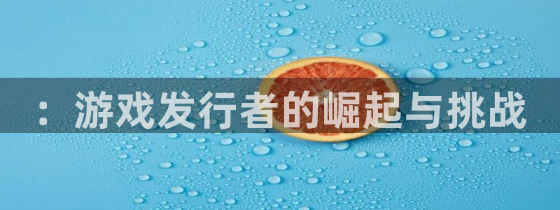 pp电子电子商务有限公司电话