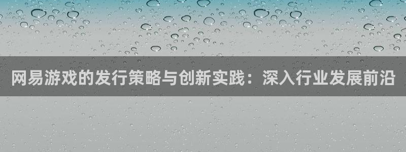 广州pp电子网络科技有限公司怎么样