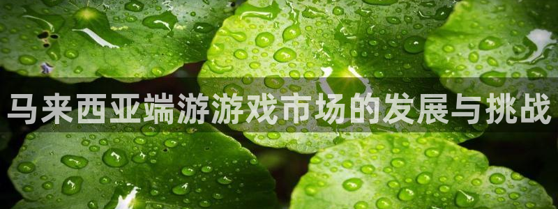 pp电子龙：马来西亚端游游戏市场的发展与挑战