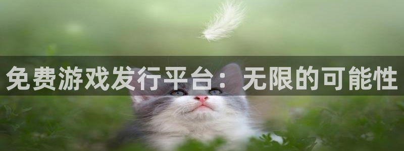 pp电子官网登录注册账号是什么意思：免费游戏发行平台：无限的可能性