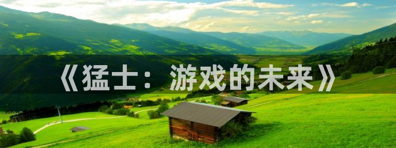 pp电子子文化是干什么的