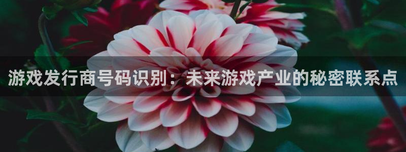 pp电子官网注册方法有哪些：游戏发行商号码识别：未来游戏产业的秘密联系点