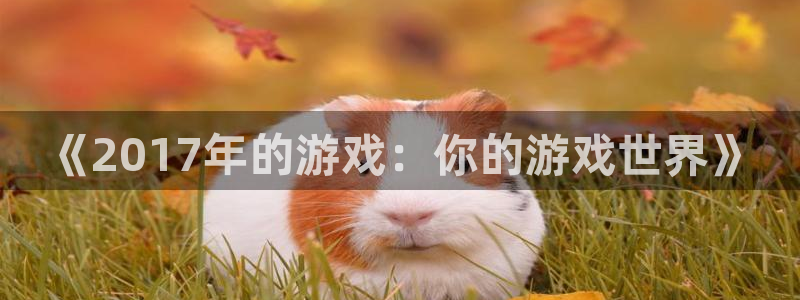 pp电子官网客服电话是多少：《2017年的游戏：你的游戏世界》