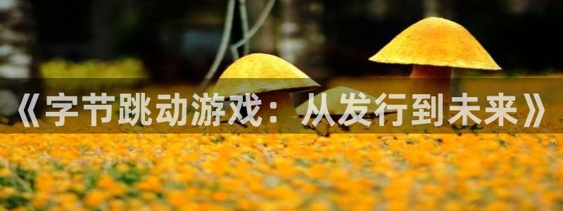 pp电子子文化创意有限公司特邀玩家：《字节跳动游戏：从发行到未来》