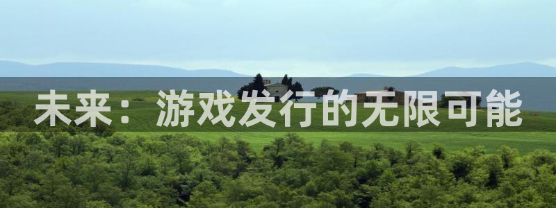 pp电子官网注册地址：未来：游戏发行的无限可能