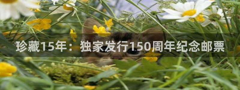 pp电子是哪个国家的衣服品牌