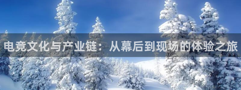 pp电子军团是哪个国家队：电竞文化与产业链：从幕后到现场的体验之旅