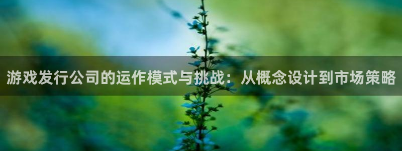 pp电子子上市