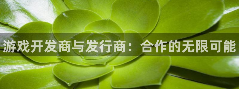 pp电子品牌策划公司