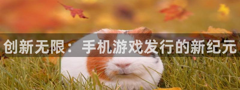 pp电子官网注册登录官网：创新无限：手机游戏发行的新纪元