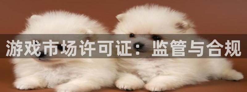 pp电子子传媒集团ceo：游戏市场许可证：监管与合规