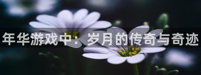 pp电子官网注册方法是什么意思：年华游戏中：岁月的传奇与奇迹