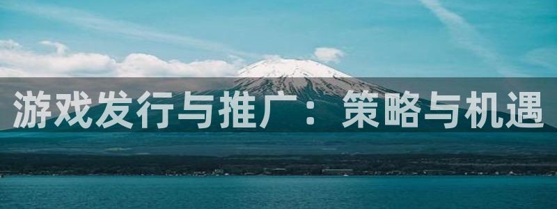 pp电子集团是什么企业