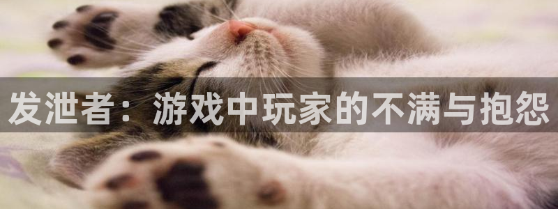 pp电子官网平台怎么样啊：发泄者：游戏中玩家的不满与抱怨