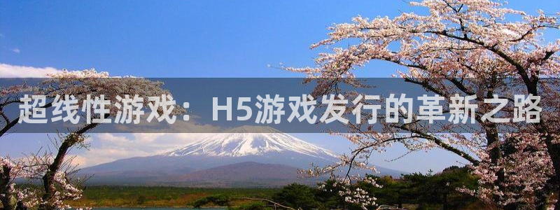 pp电子子文化是什么