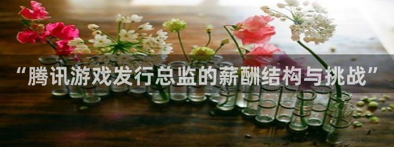 pp电子官网平台怎么样可靠吗：“腾讯游戏发行总监的薪酬结构与挑战”
