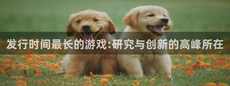 pp电子智得官网：发行时间最长的游戏:研究与创新的高峰所在