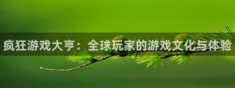 苏州pp电子网络科技有限公司