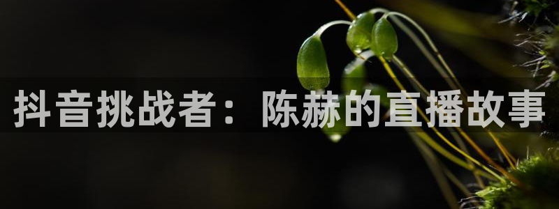 nba直播在线观看免费黑白体育：抖音挑战者：陈赫的直播故事