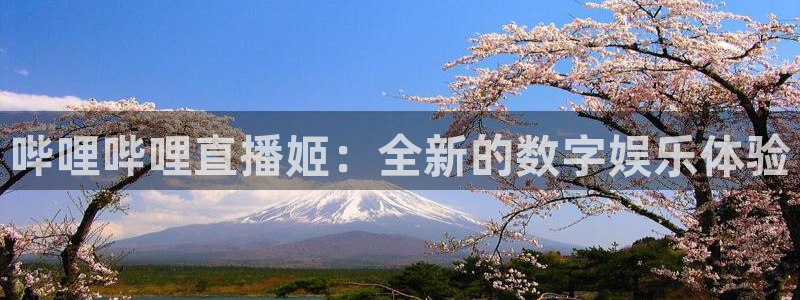 黑白直播足球直播下载：哔哩哔哩直播姬：全新的数字娱乐体验