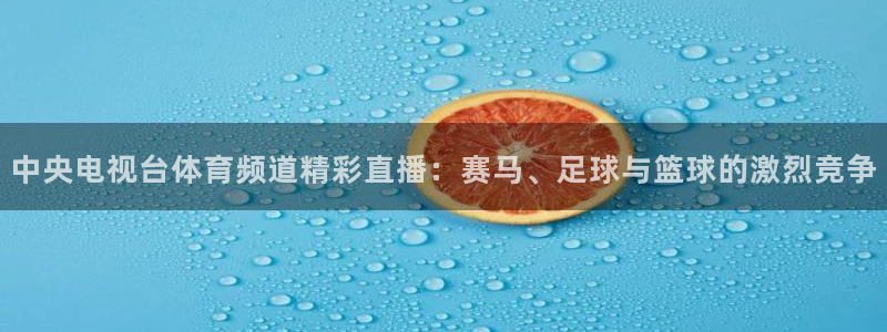 黑白直播体育app下载ios：中央电视台体育频道精彩直播：赛马、足球与篮球的激烈竞争