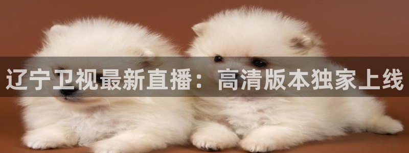 黑白体育在线观看：辽宁卫视最新直播：高清版本独家上线