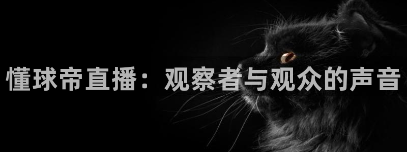 下载黑白体育直播：懂球帝直播：观察者与观众的声音