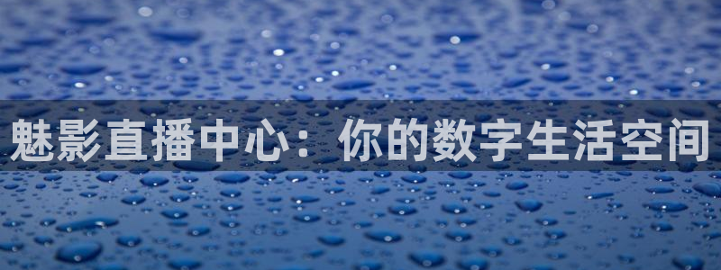 黑白看球直播：魅影直播中心：你的数字生活空间