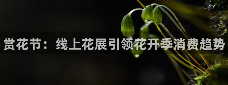 黑白直播体育app官方下载：赏花节：线上花展引领花开季消费趋势
