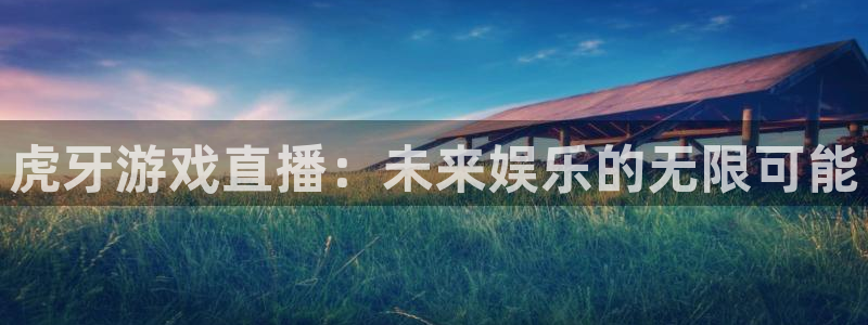 黑白篮球直播nba：虎牙游戏直播：未来娱乐的无限可能