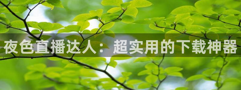 黑白超：夜色直播达人：超实用的下载神器