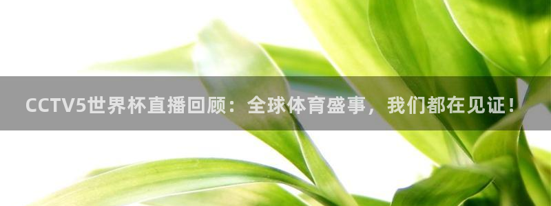 黑白体育直播在线免费观看：CCTV5世界杯直播回顾：全球体育盛事，我们都在见证！