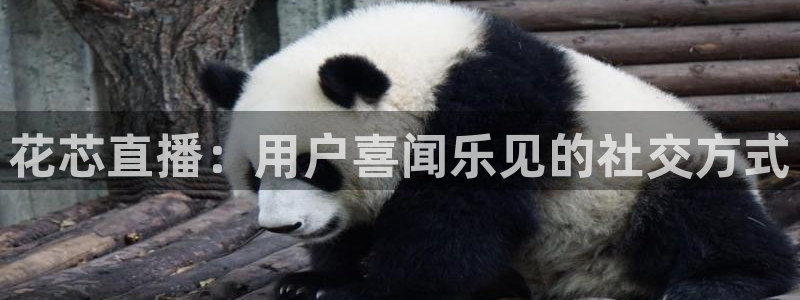 nba直播免费观看黑白：花芯直播：用户喜闻乐见的社交方式